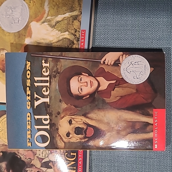 Lot of 5 Book Bundle, kids, Newbery Medal - Picture 2 of 11